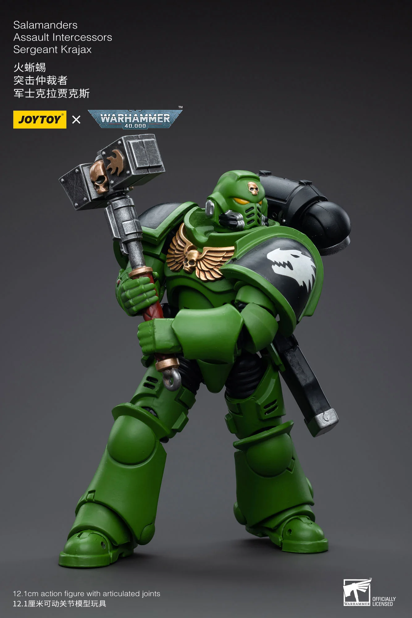 JOYTOY JT5215 5222 5239 5246 Warhammer 40k 1: 18 Salamanders Intercessors - JOYTOY WORLD