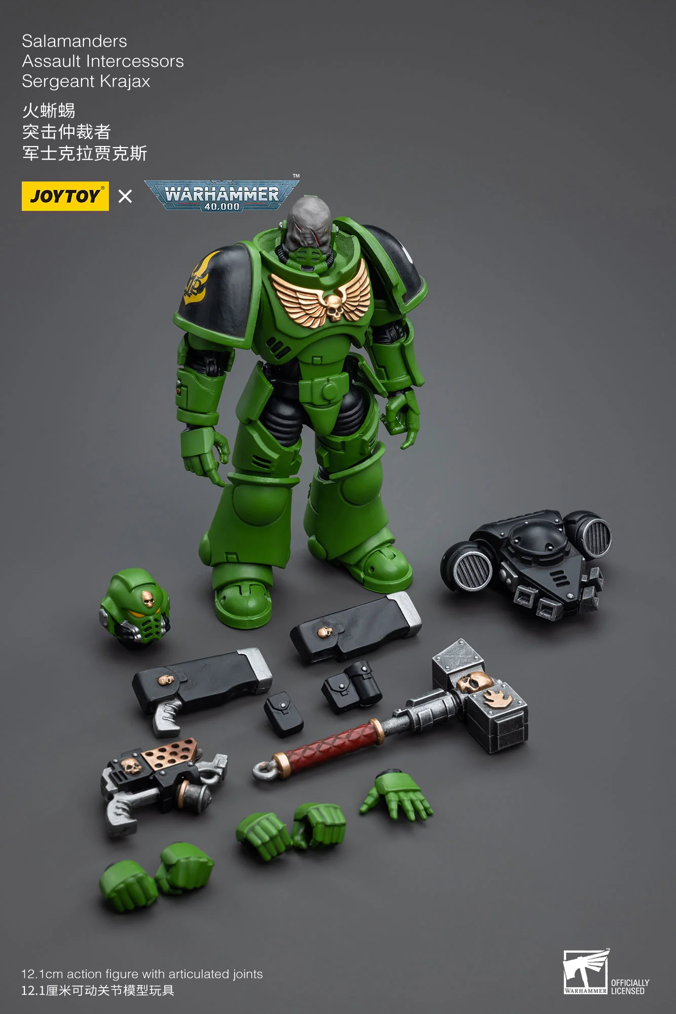 JOYTOY JT5215 5222 5239 5246 Warhammer 40k 1: 18 Salamanders Intercessors - JOYTOY WORLD