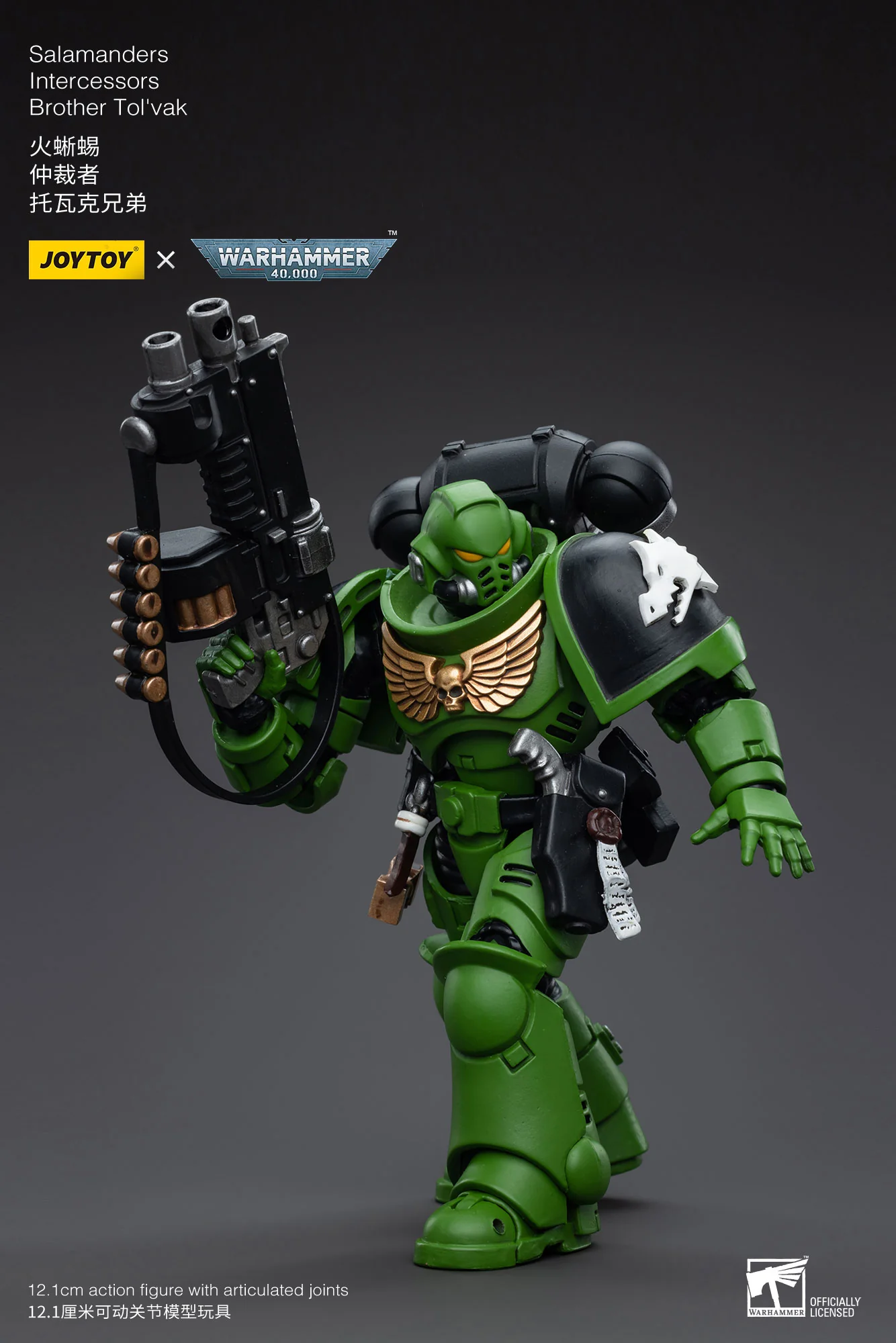 JOYTOY JT5215 5222 5239 5246 Warhammer 40k 1: 18 Salamanders Intercessors - JOYTOY WORLD