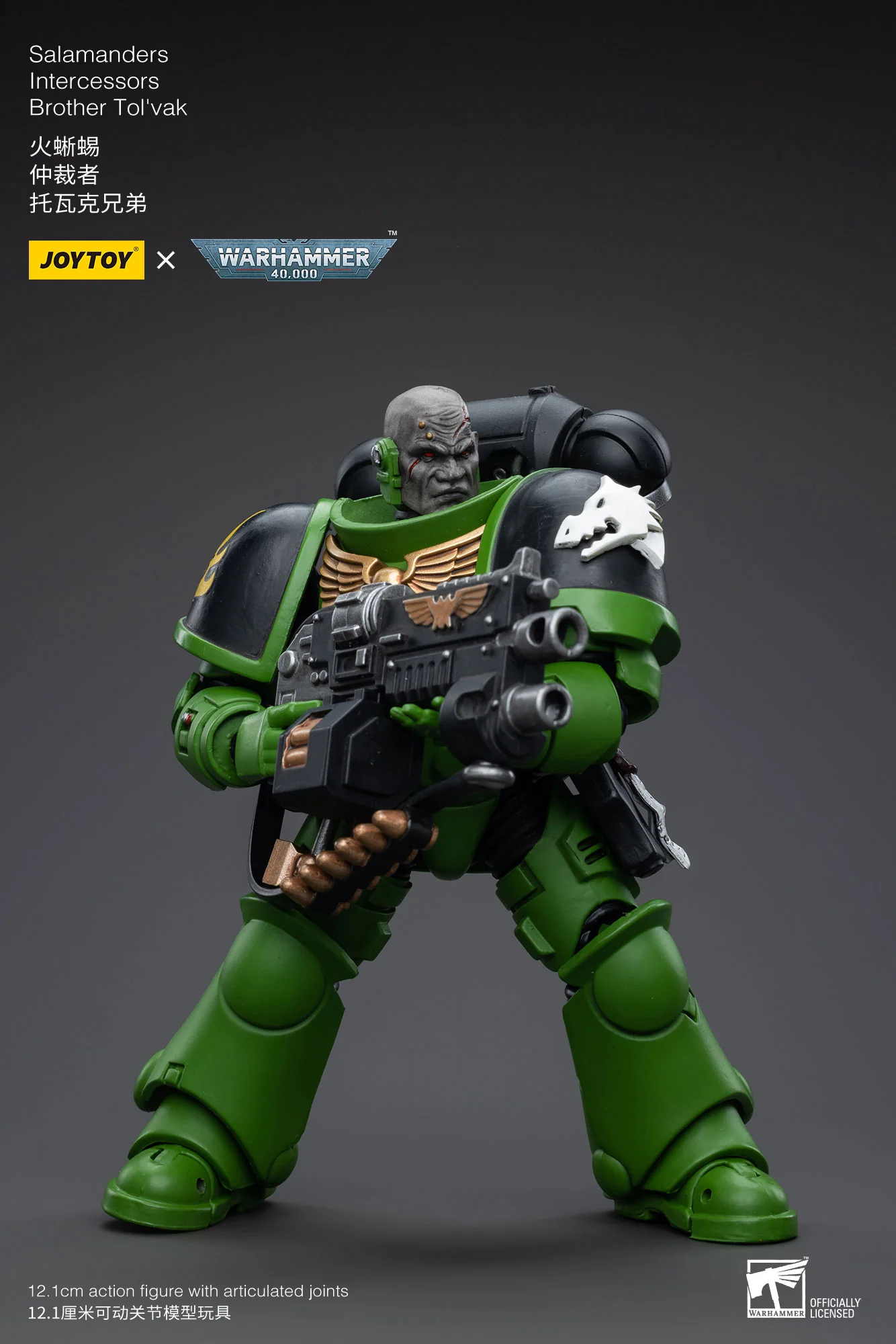 JOYTOY JT5215 5222 5239 5246 Warhammer 40k 1: 18 Salamanders Intercessors - JOYTOY WORLD