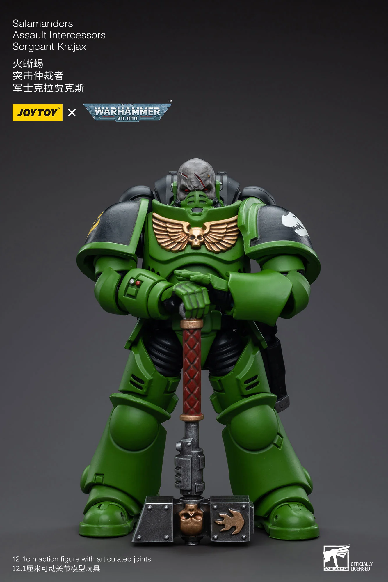 JOYTOY JT5215 5222 5239 5246 Warhammer 40k 1: 18 Salamanders Intercessors - JOYTOY WORLD