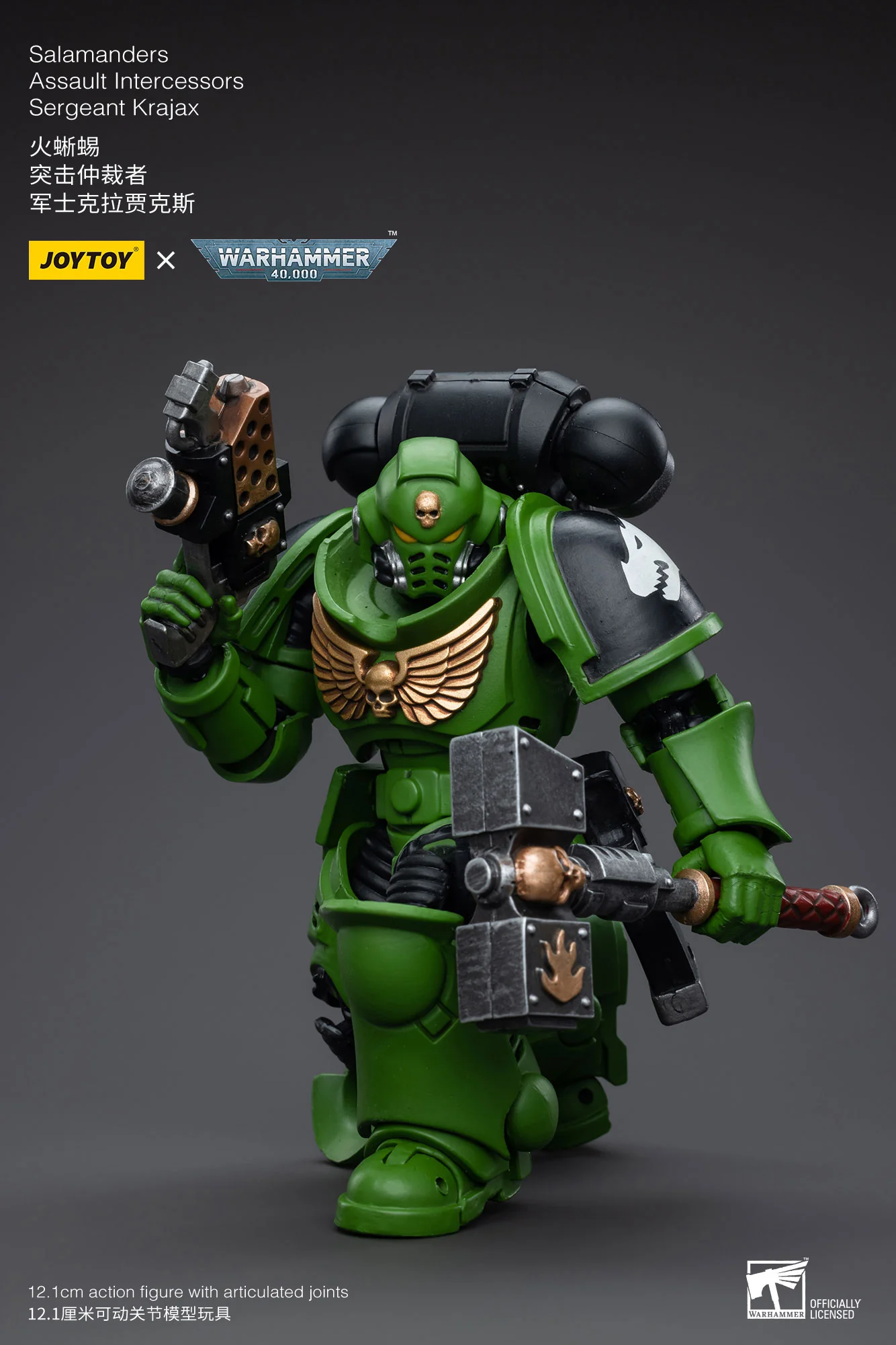 JOYTOY JT5215 5222 5239 5246 Warhammer 40k 1: 18 Salamanders Intercessors - JOYTOY WORLD