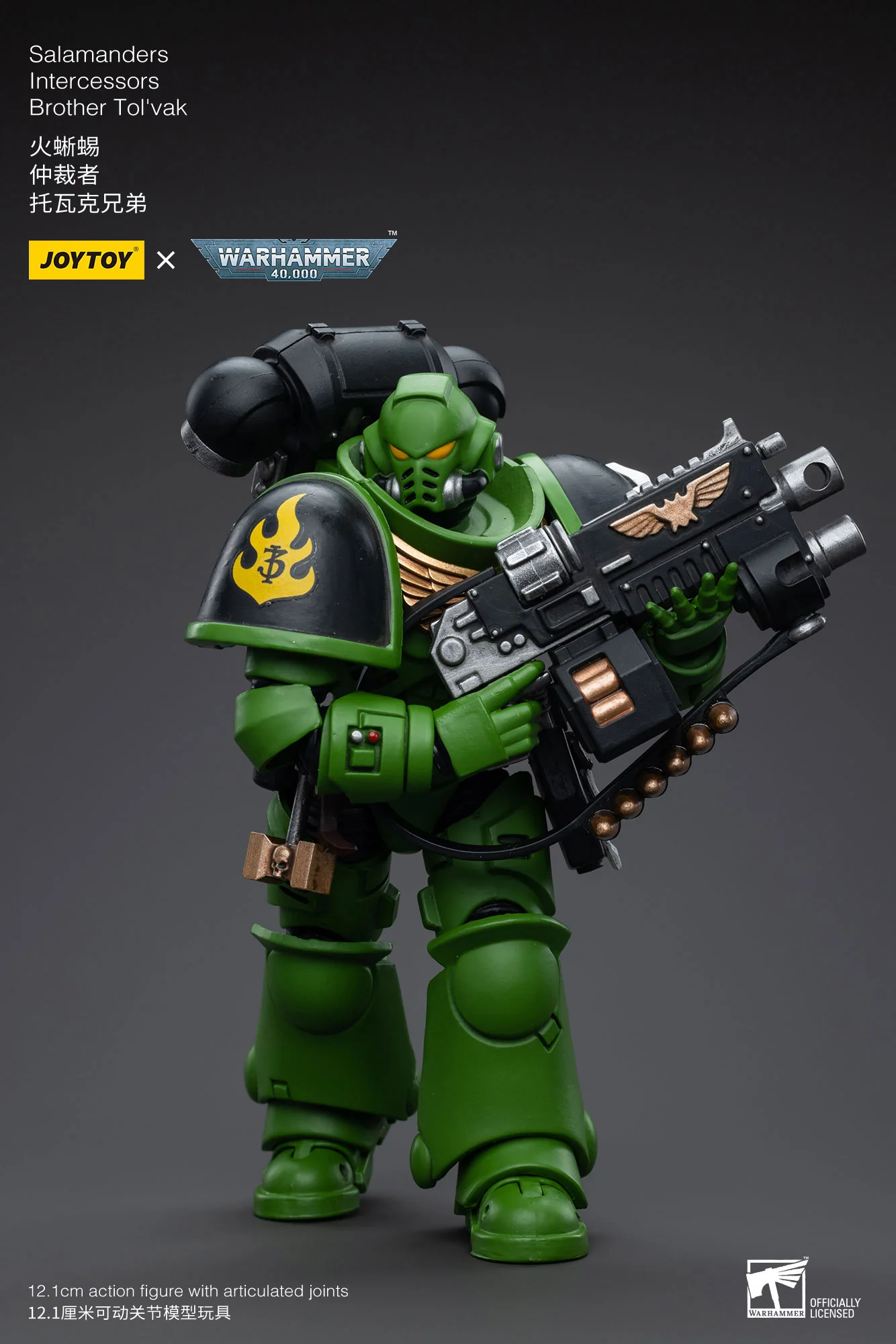 JOYTOY JT5215 5222 5239 5246 Warhammer 40k 1: 18 Salamanders Intercessors - JOYTOY WORLD