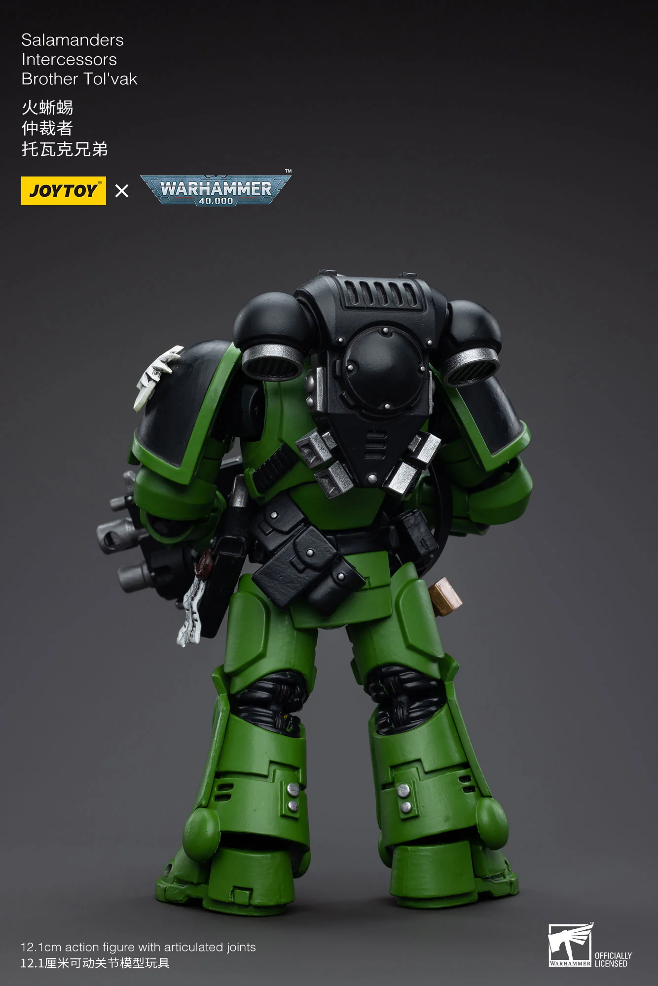 JOYTOY JT5215 5222 5239 5246 Warhammer 40k 1: 18 Salamanders Intercessors - JOYTOY WORLD