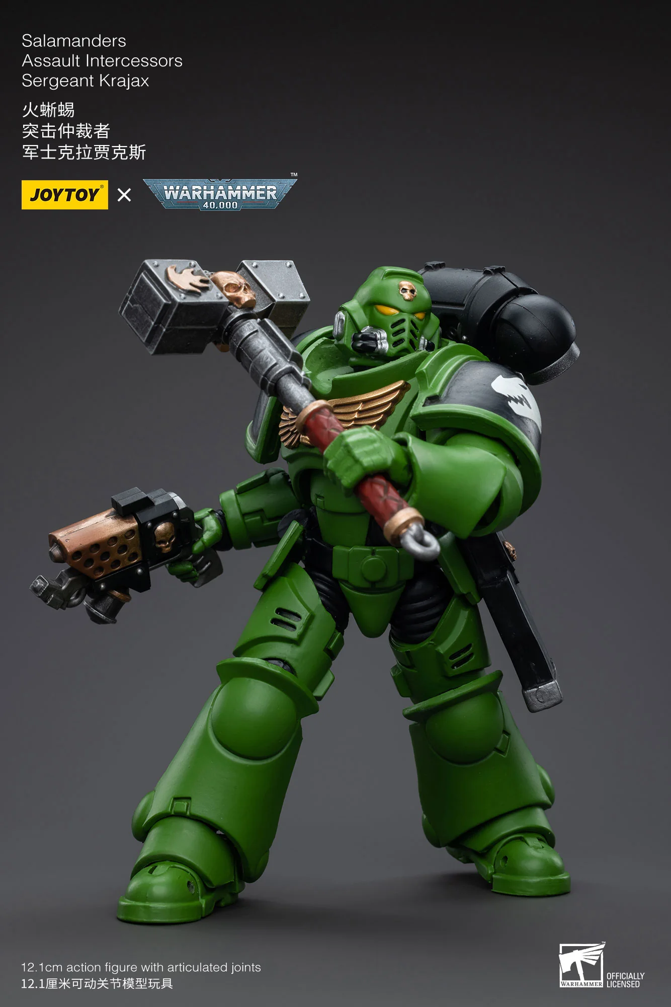 JOYTOY JT5215 5222 5239 5246 Warhammer 40k 1: 18 Salamanders Intercessors - JOYTOY WORLD