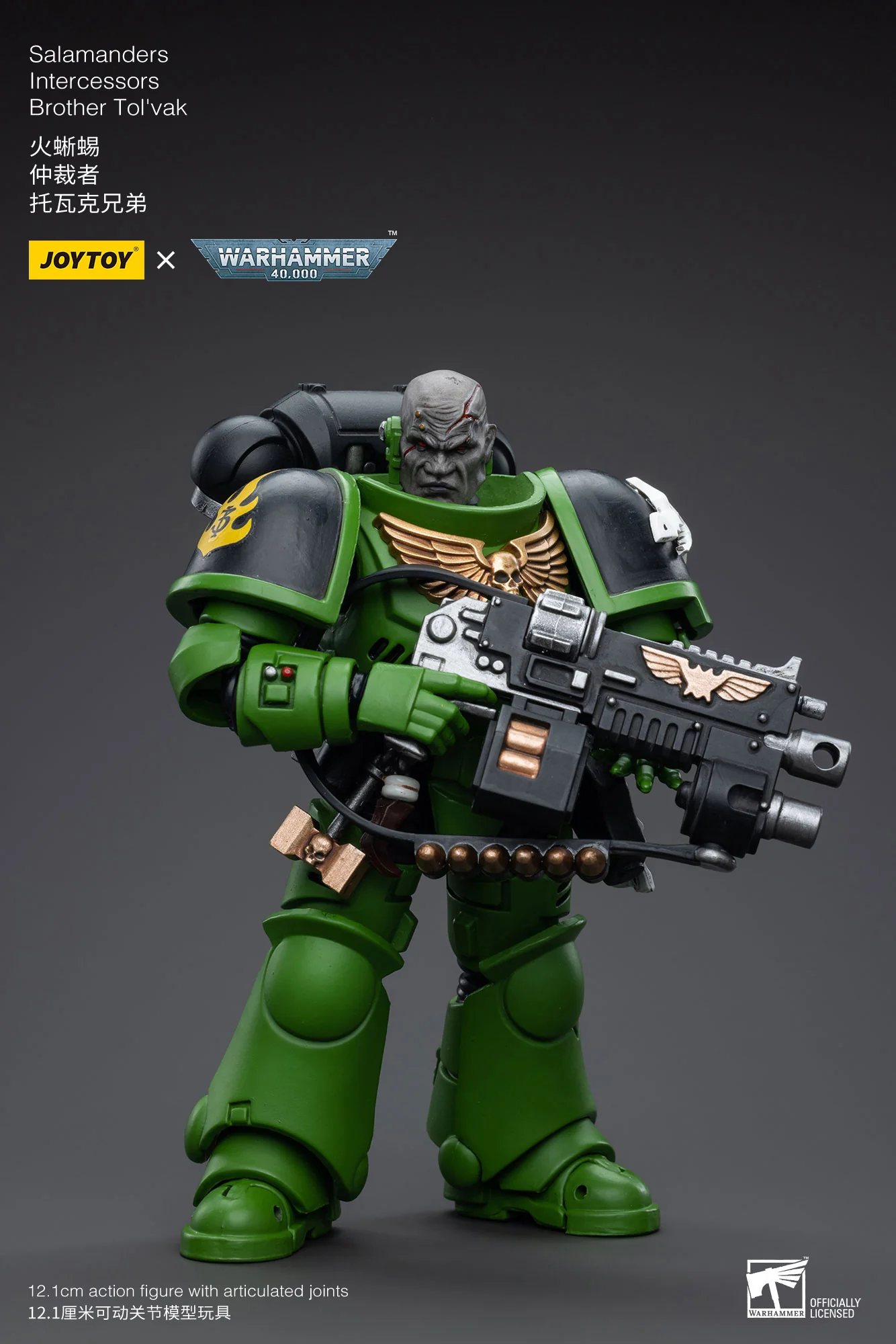 JOYTOY JT5215 5222 5239 5246 Warhammer 40k 1: 18 Salamanders Intercessors - JOYTOY WORLD