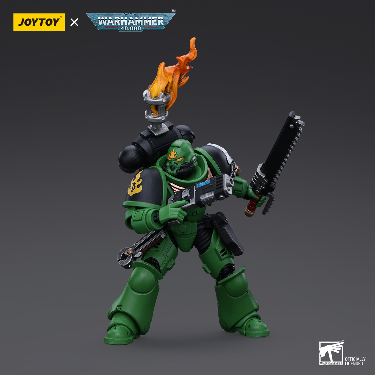 JOYTOY JT5215 5222 5239 5246 Warhammer 40k 1: 18 Salamanders Intercessors - JOYTOY WORLD