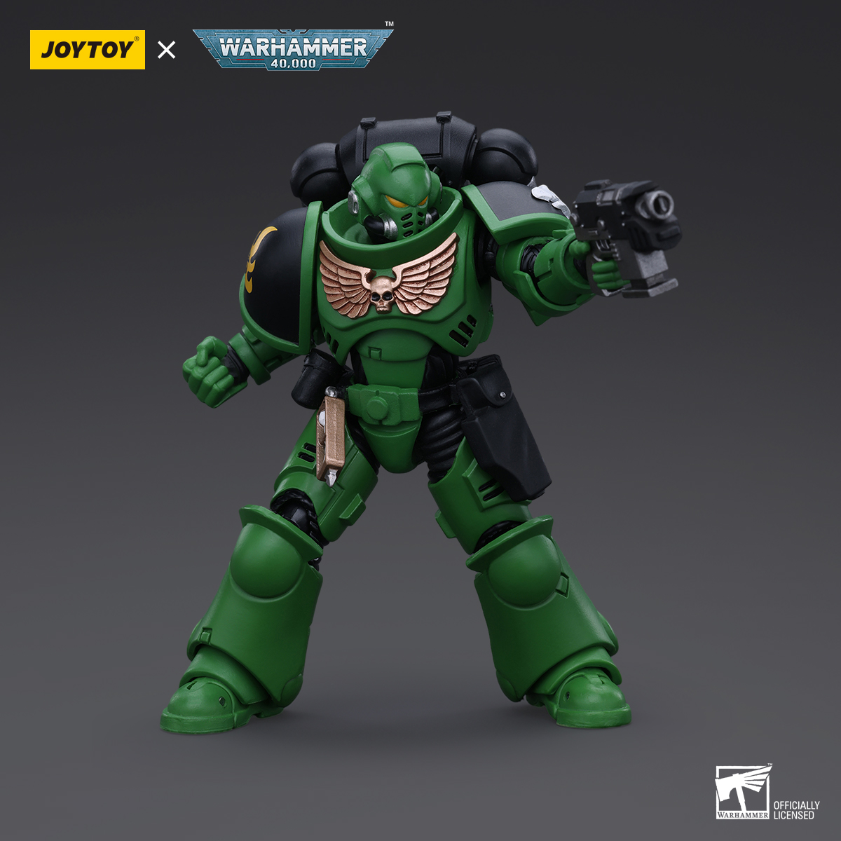JOYTOY JT5215 5222 5239 5246 Warhammer 40k 1: 18 Salamanders Intercessors - JOYTOY WORLD