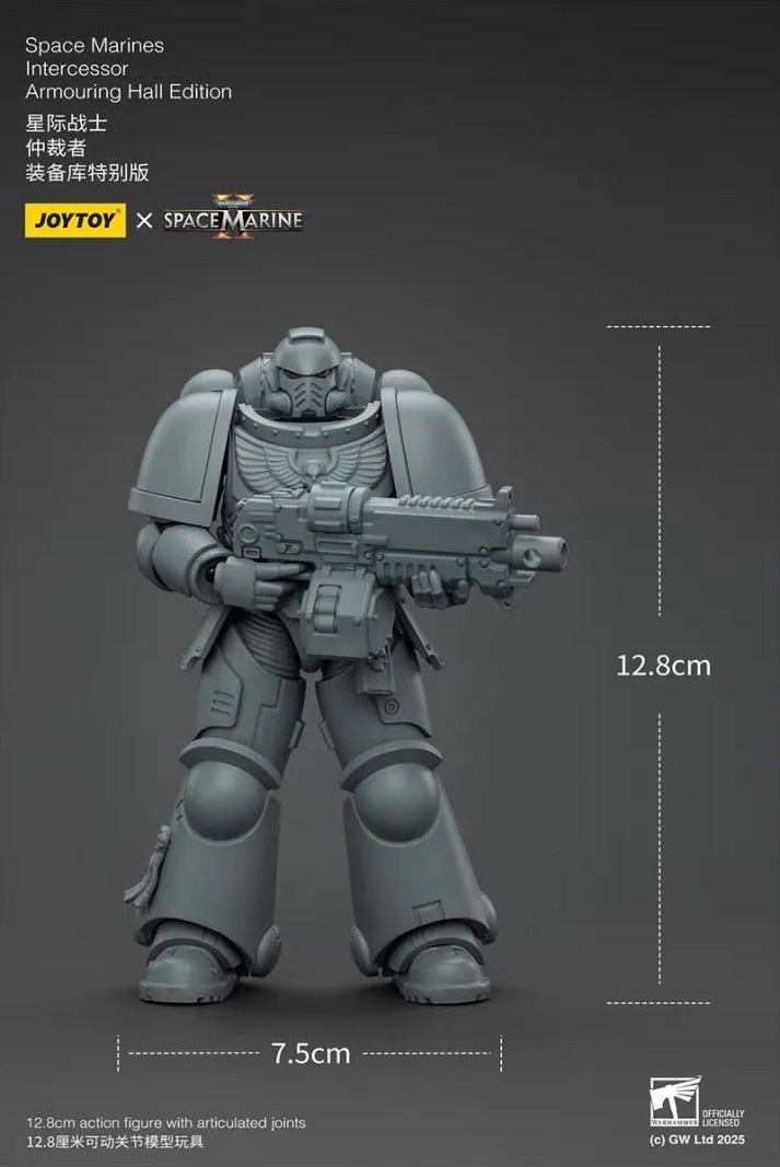 JOYTOY JT01161 Warhammer 40k 1: 18 Space Marines Intercessor Armouring Hall Edition - JOYTOY WORLD