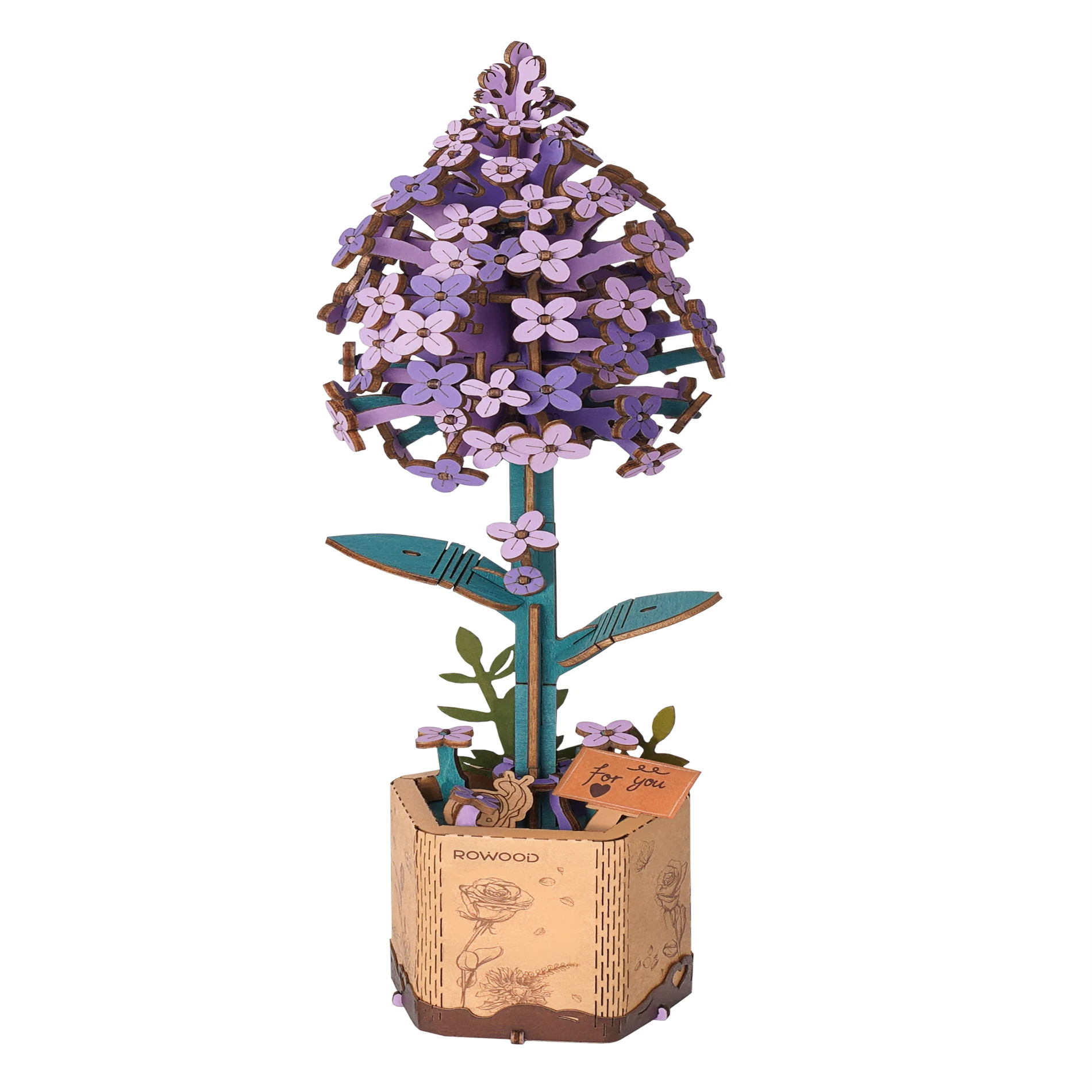 Robotime TW021 Lilac - JOYTOY WORLD