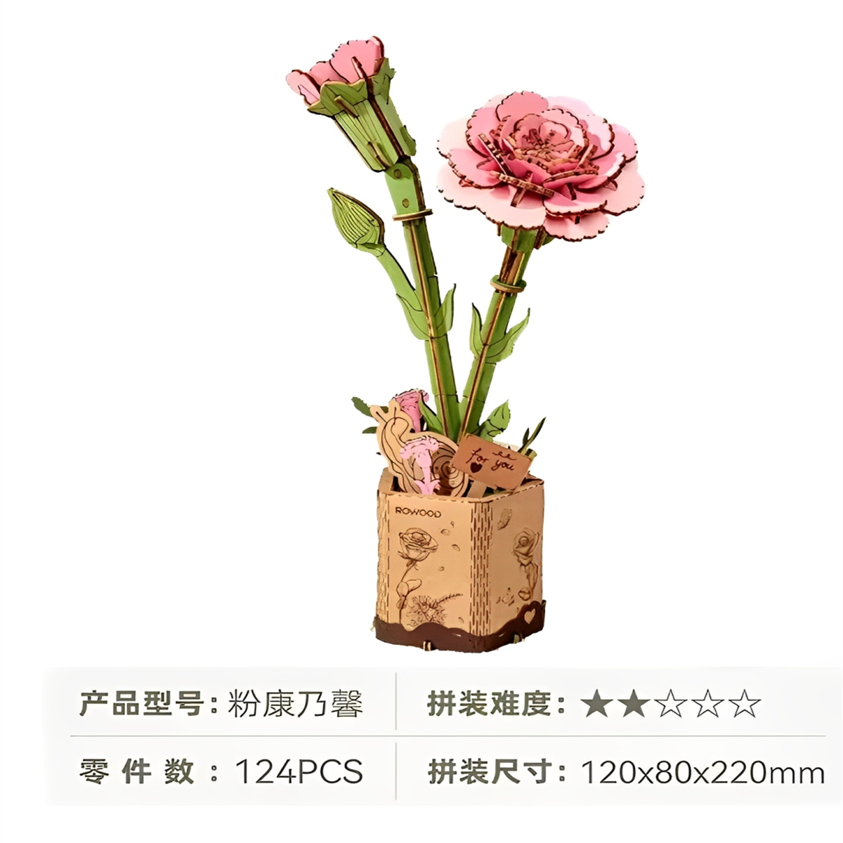 Robotime TW051 Pink Carnation - JOYTOY WORLD