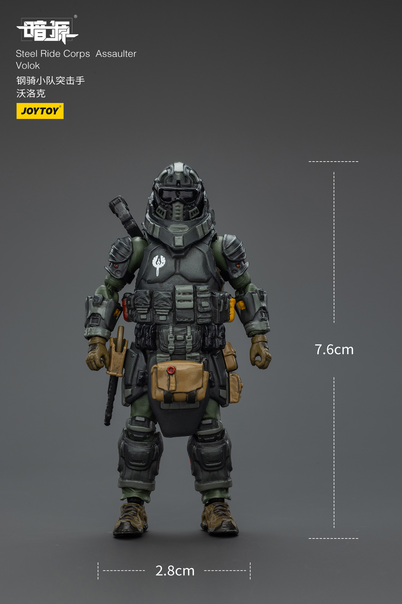 JOYTOY Dark Source 1: 25 Steel Ride Corps Assaulter - JOYTOY WORLD
