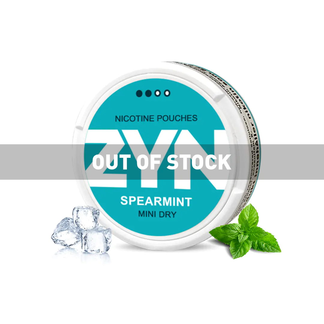 Popular Swedish ZYN-All Flavors - PADA SNUS