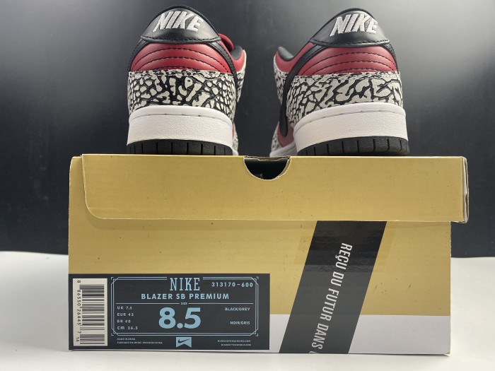 Nike Dunk SB Low Red Cement (2012) 313170-600 - CCSHOES