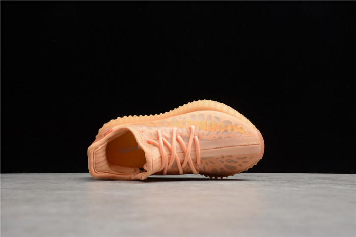 ADIDAS KIDS 350 BOOST V2 "MONO CLAY" GW2870 - CCSHOES