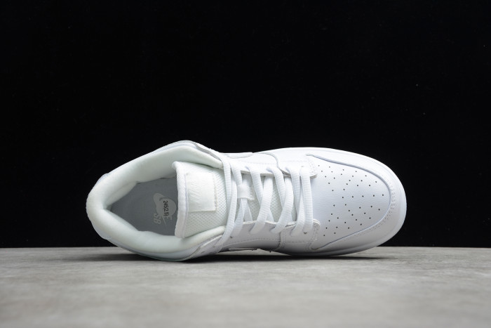 Nike Dunk SB Low White Ice 304292-100 - CCSHOES