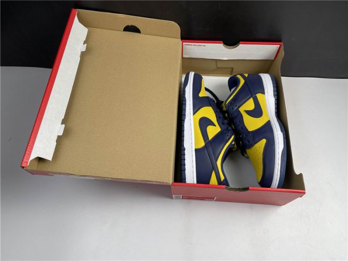 Nike Dunk Low Michigan DD1391-700 - CCSHOES