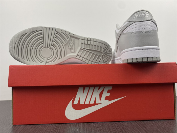 Nike Dunk Low Grey Fog DD1391-103 - CCSHOES