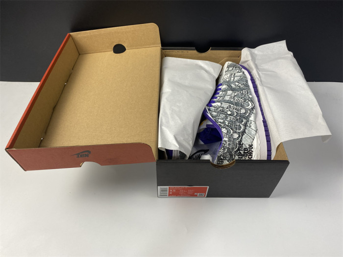 Nike Dunk Low Flip the Old School (W) DJ4636-100 - CCSHOES