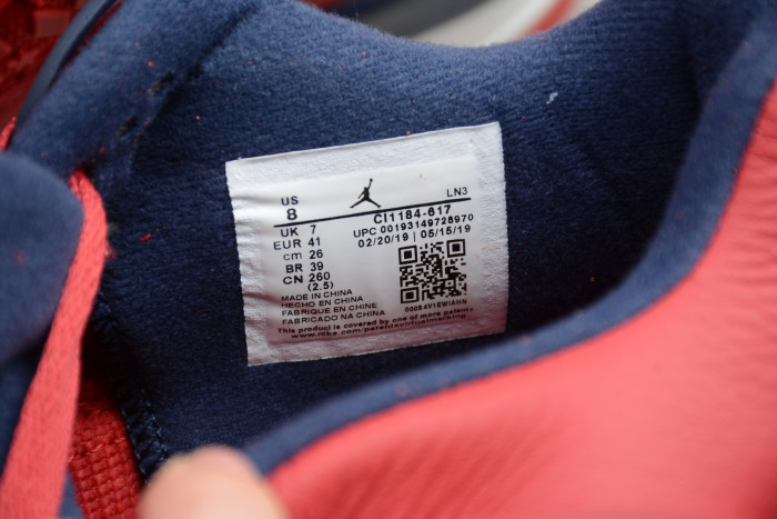 Air Jordan 4 SE “FIBA” CI1184-617 - CCSHOES