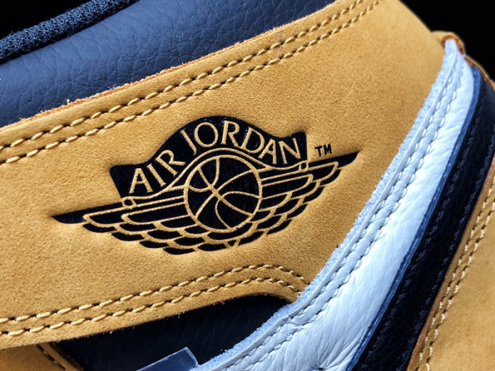 Air Jordan 1 Retro High OG “Rookie of the Year” 555088-700 - CCSHOES