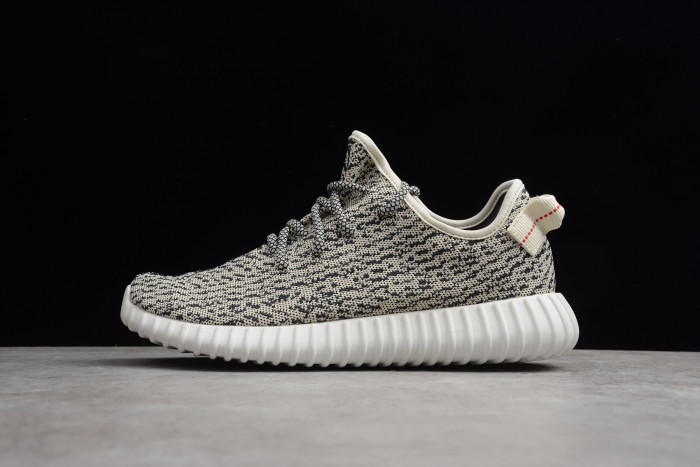 Adidas YEEZY 350 Boost “Turtle Dove” AQ4832 - CCSHOES