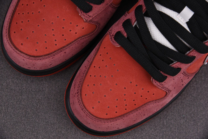Nike Dunk SB Low Red Lobster 313170-661 - CCSHOES