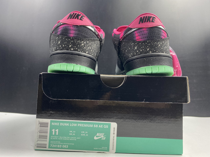 NIKE DUNK SB LOW PREMIER "NORTHERN LIGHTS"724183-063 - CCSHOES
