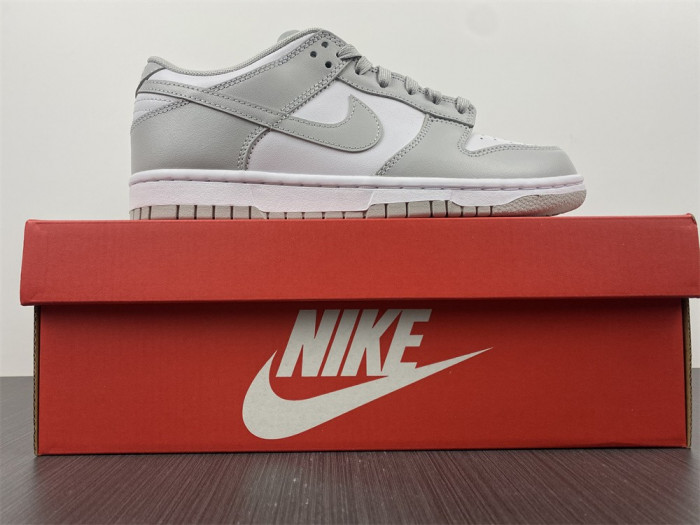 Nike Dunk Low Grey Fog DD1391-103 - CCSHOES