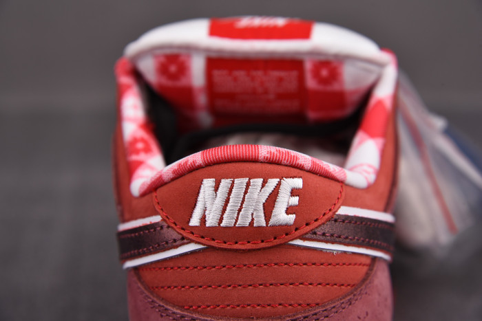 Nike Dunk SB Low Red Lobster 313170-661 - CCSHOES