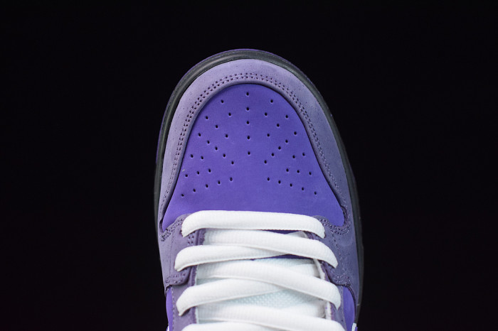 NIKE SB DUNK LOW CONCEPTS PURPLE LOBSTER BV1310-555 - CCSHOES