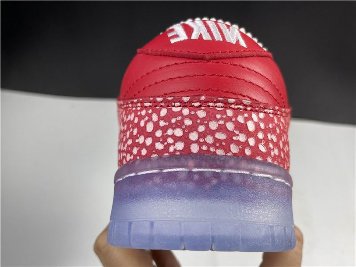 Nike Dunk SB Low Stingwater Magic Mushroom DH7650-600 - CCSHOES