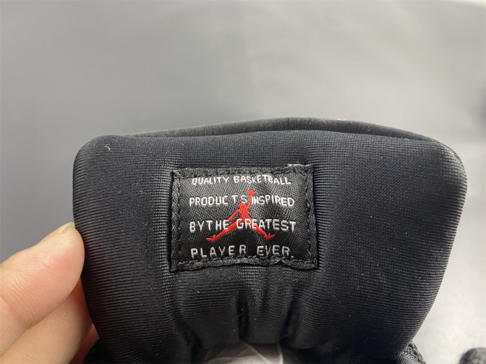 AIR JORDAN 11 “ANIMAL INSTINCT” AR0715-010 - CCSHOES
