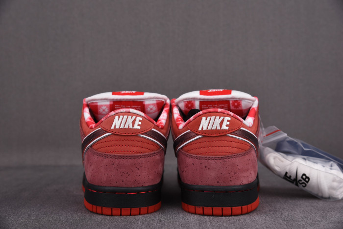 Nike Dunk SB Low Red Lobster 313170-661 - CCSHOES