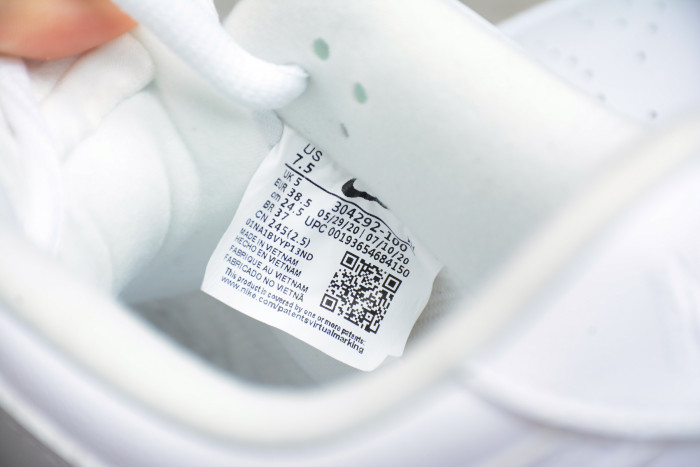 Nike Dunk SB Low White Ice 304292-100 - CCSHOES