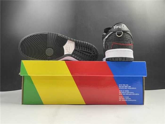 Nike SB Dunk Low Wasted Youth DD8386-001 - CCSHOES