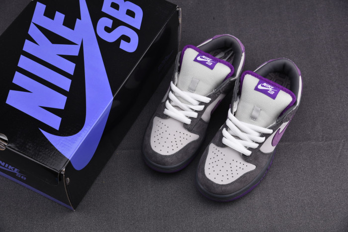 Nike Dunk SB Low Purple Pigeon 304292-051 - CCSHOES