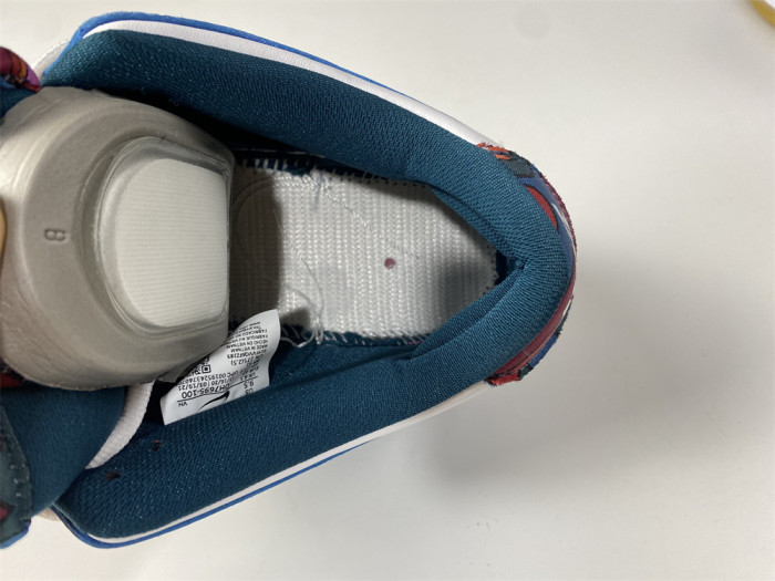 Parra x Nike SB Dunk Low DH7695-100 - CCSHOES