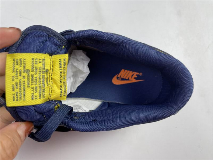 Nike Dunk Low Michigan DD1391-700 - CCSHOES