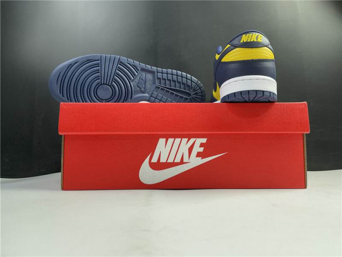 Nike Dunk Low Michigan DD1391-700 - CCSHOES