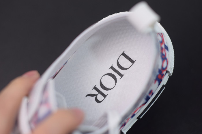 DR B23 OBLIQUE LOW TOP “CD Ghosting" - CCSHOES