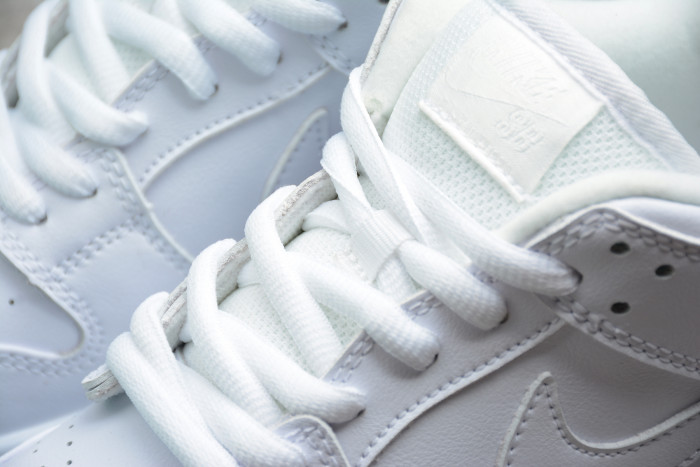 Nike Dunk SB Low White Ice 304292-100 - CCSHOES