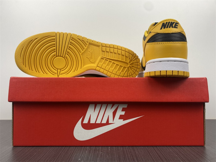 Nike Dunk Low Goldenrod (2021) DD1391-004 - CCSHOES