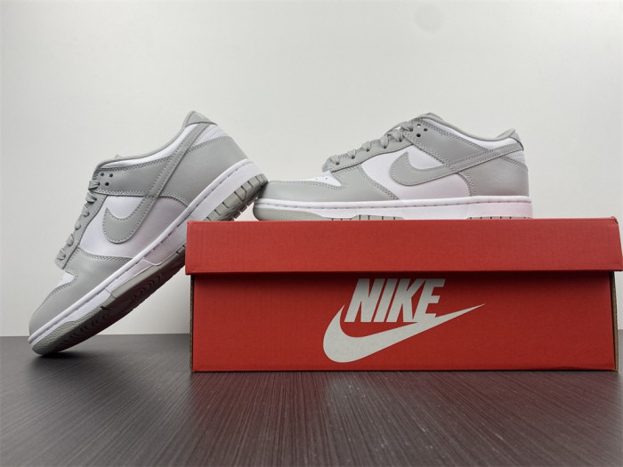 Nike Dunk Low Grey Fog DD1391-103 - CCSHOES