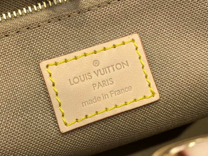 LV bag OnTheGo mini Sjh - CCSHOES