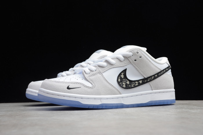 DR x Nike Dunk SB Low BQ6817-002 - CCSHOES