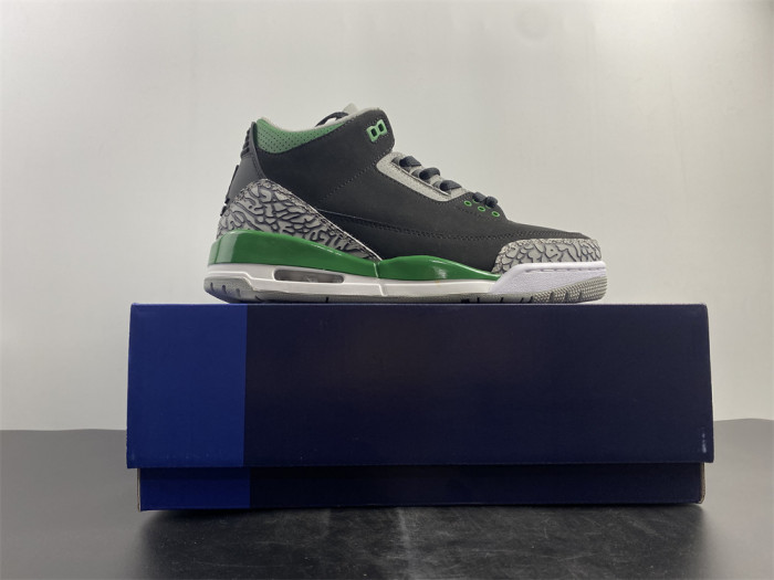 Air Jordan 3 “Pine Green” CT8532-030 - CCSHOES