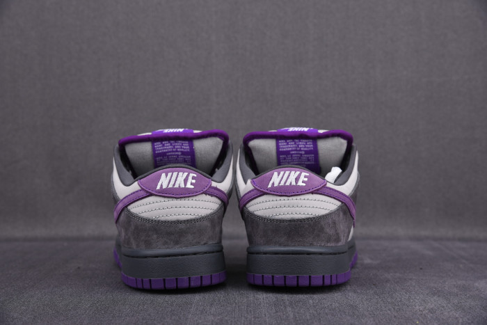 Nike Dunk SB Low Purple Pigeon 304292-051 - CCSHOES