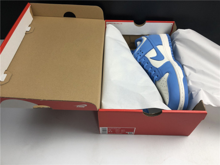 Nike Dunk Low Coast (W) DD1503-100 - CCSHOES
