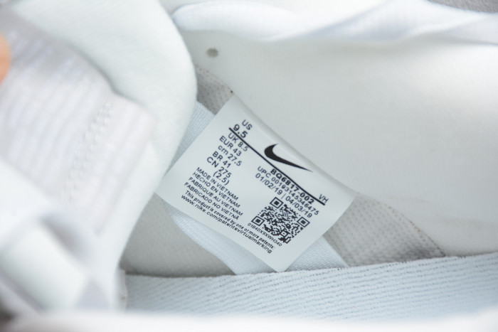 DR x Nike Dunk SB Low BQ6817-002 - CCSHOES